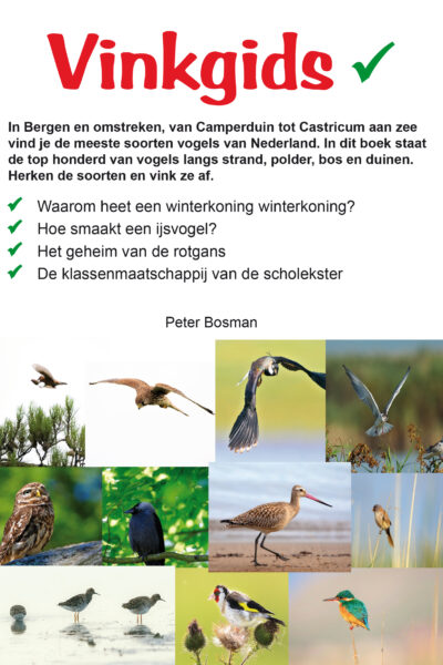 Vinkgids, vind alle vogels in Bergen en omstreken