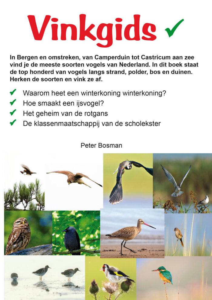 Vinkgids, vind alle vogels in Bergen en omstreken